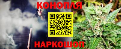 крисы Кунгур
