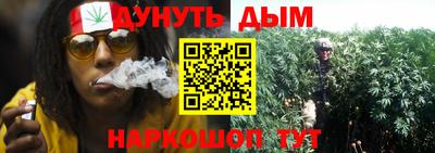 крисы Кунгур
