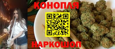 крисы Кунгур