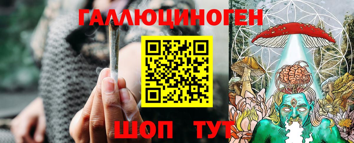 Псилоцибиновые грибы Psilocybine cubensis  Вход с VPN  Калининград 